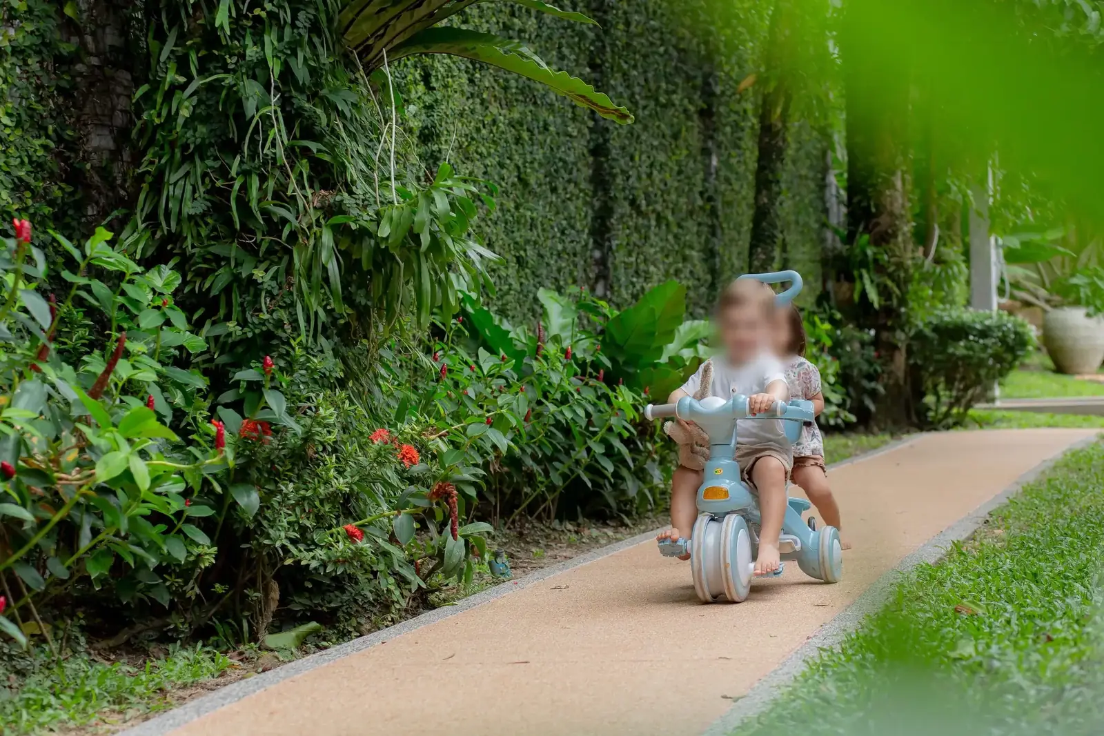 Children playing on the garden path