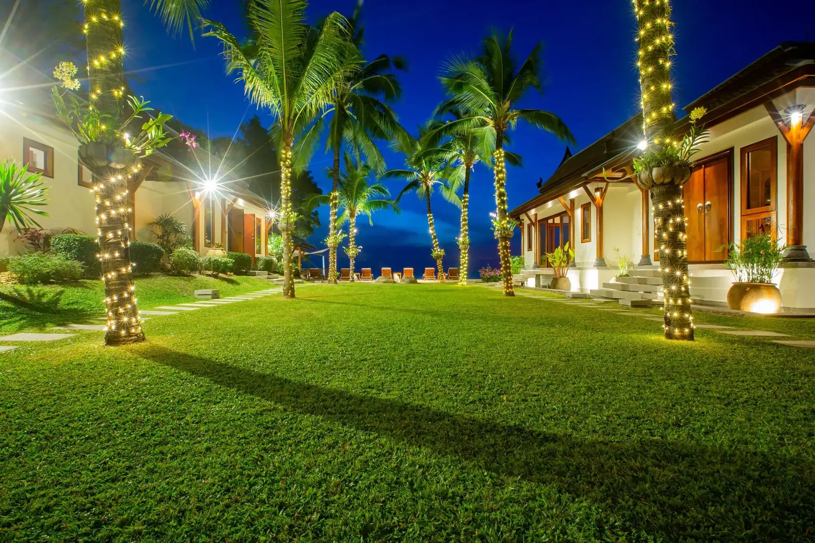 Lawn with fairy lit palms at night