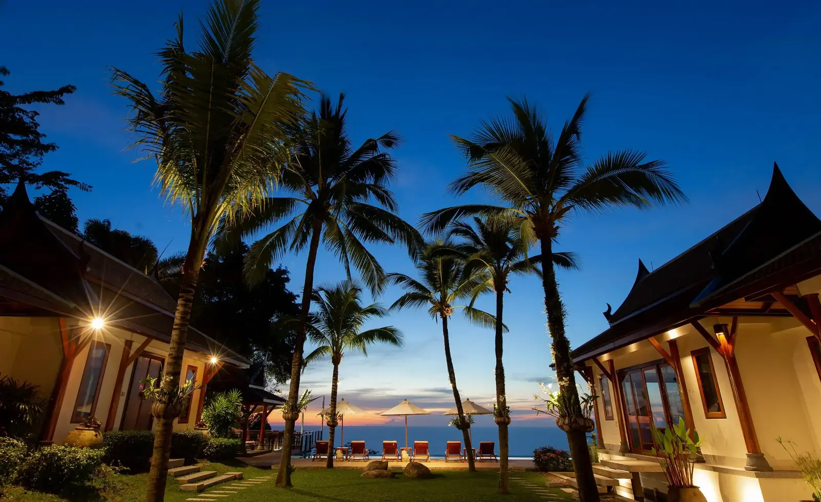 Palm lawn at blue hour