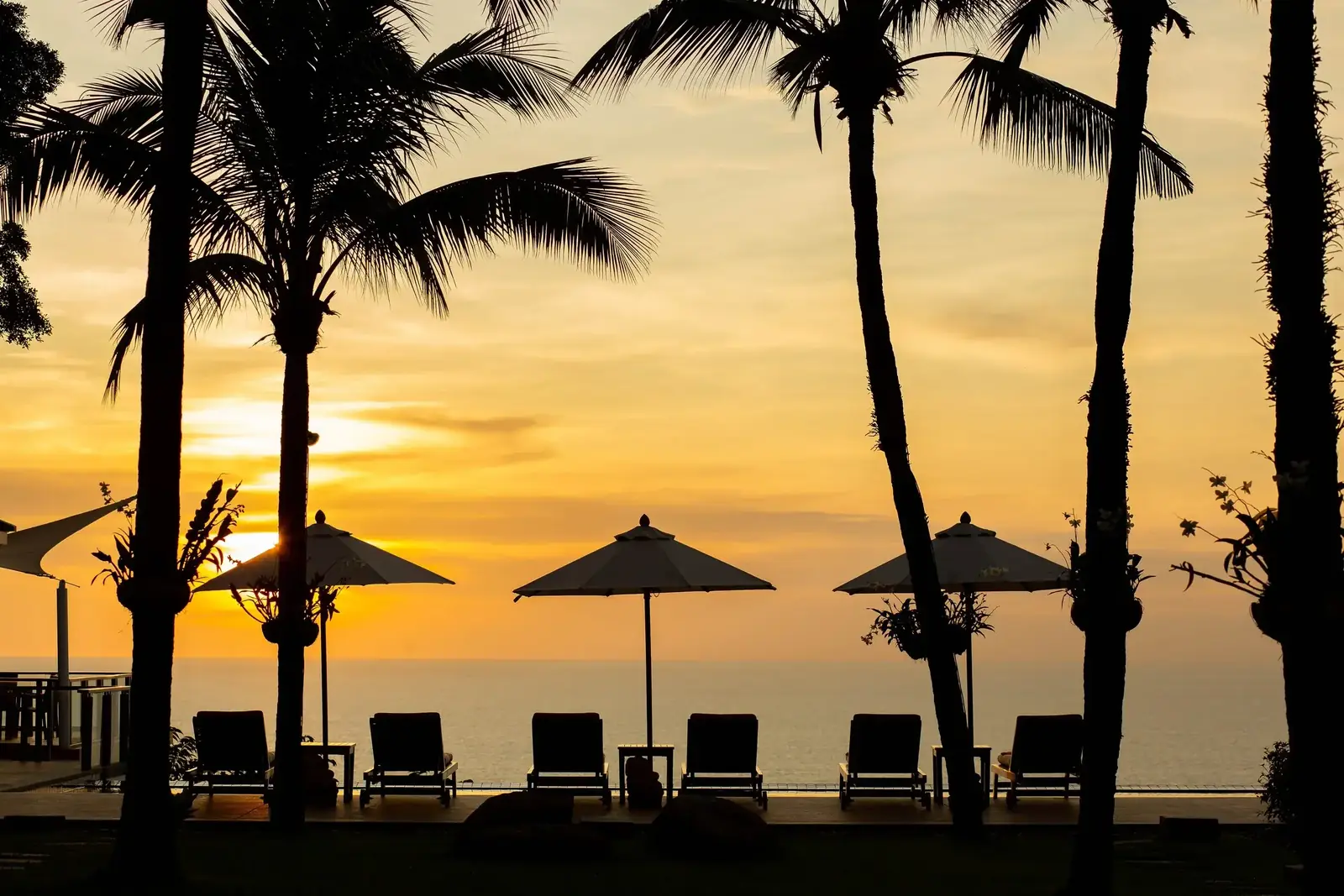 Palm silhouettes at sunset over the ocean